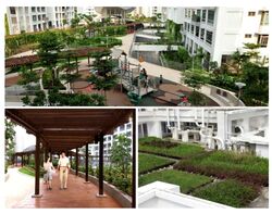 Blk 305B Treelodge@punggol (Punggol), HDB 4 Rooms #589734091